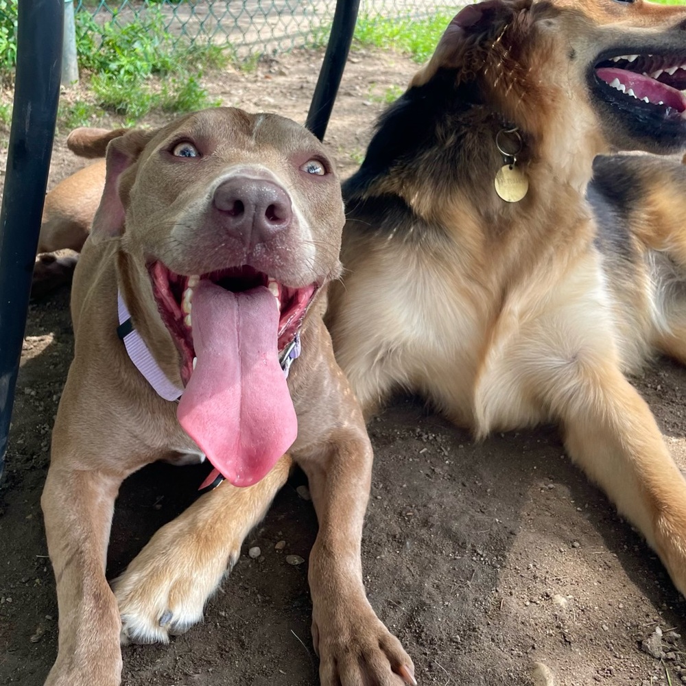 Meet your Posher, Ana - Picture 12 of 16